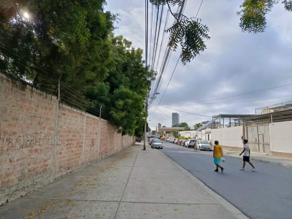 Vecinos exigen poda urgente de árboles ante riesgos eléctricos en el barrio 8 de Abril.