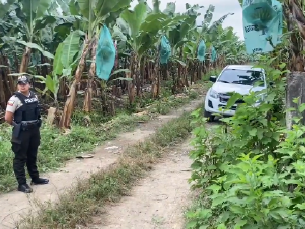 Macabro hallazgo: cadáver de mujer enterrada en bananera de Machala conmociona a la comunidad