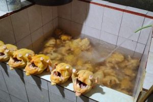 Pollos inyectados con agua en camal clandestino de Quito: peligro para la salud