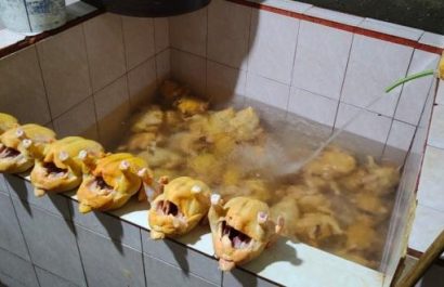 Pollos inyectados con agua en camal clandestino de Quito: peligro para la salud