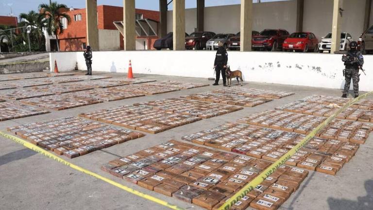 En varias cajas con banano agentes de la Policía incautaron 2,9 toneladas de cocaína que estaban listas para su exportación.