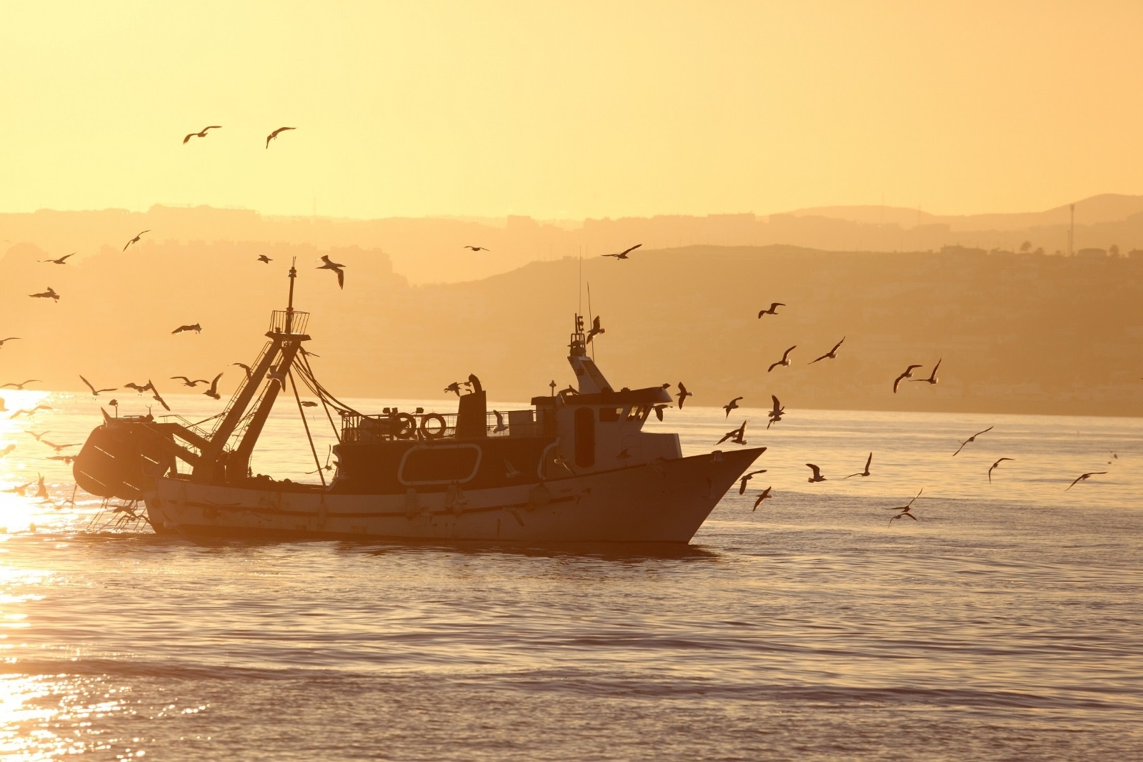 Isla Mauricio atún pesca