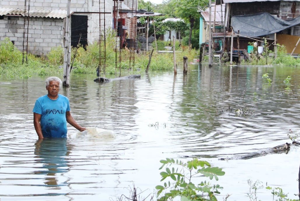 Las autoridades ecuatorianas analizan oficializar la declaratoria de la llegada del fenómeno de El Niño en las siguiente semanas.