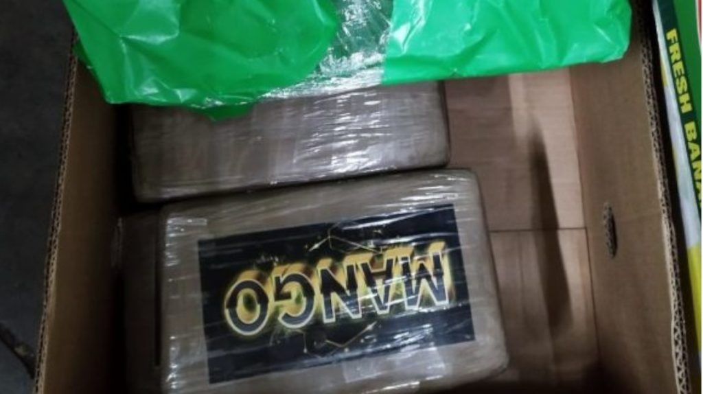 Las autoridades de Portugal, en Europa, decomisaron 4,4 toneladas de cocaína que estaban camufladas entre cajas de banano.