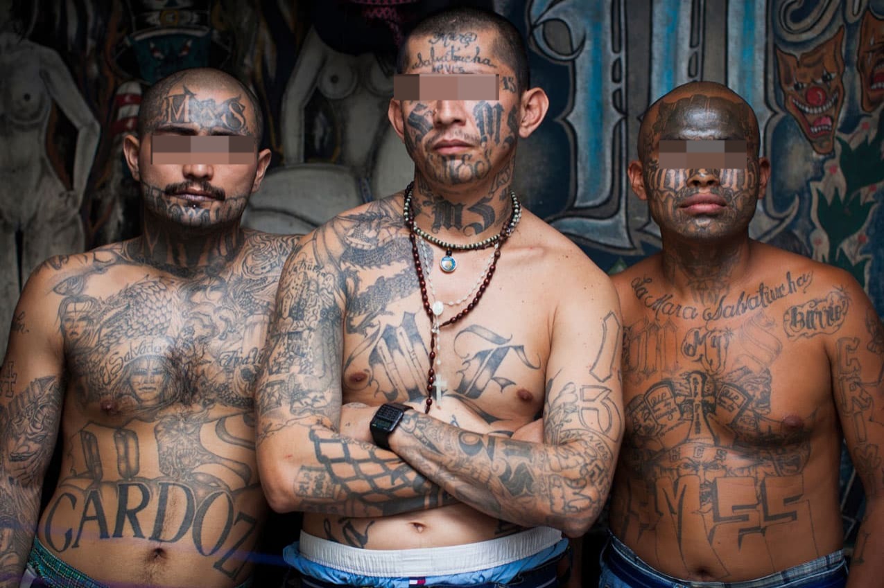 Supuestos tatuajes de grupos "terroristas" son recopilados por la Policía
