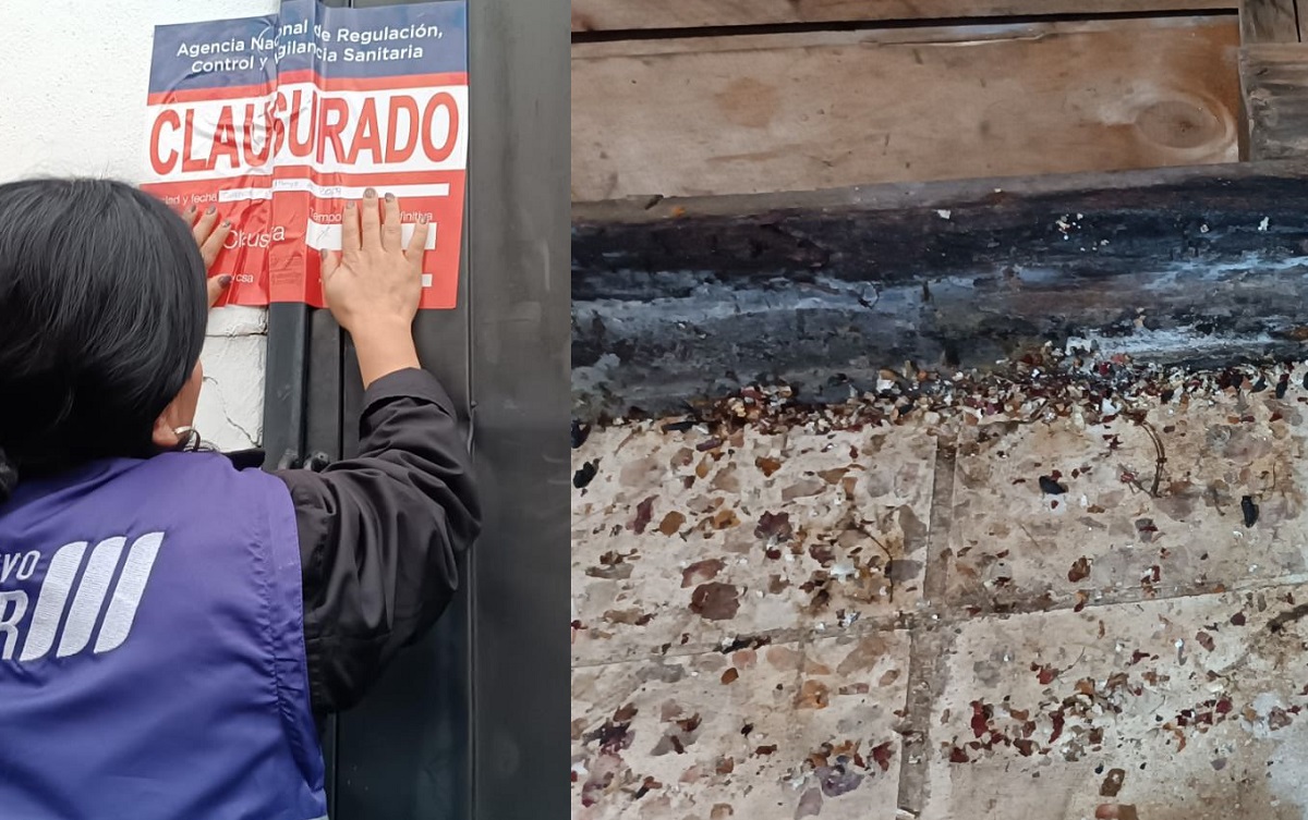 Encuentran heces de ratas en fábrica de Cuenca.