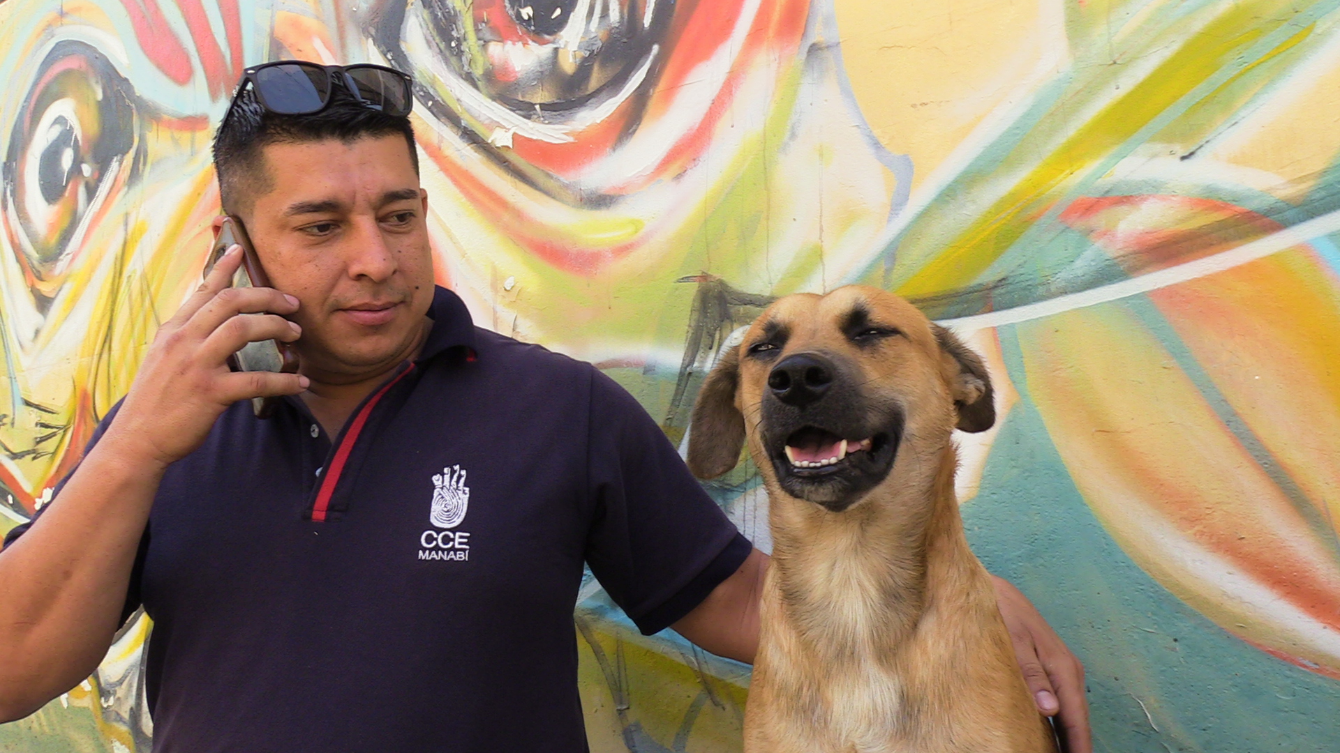 perro la casa de la cultura