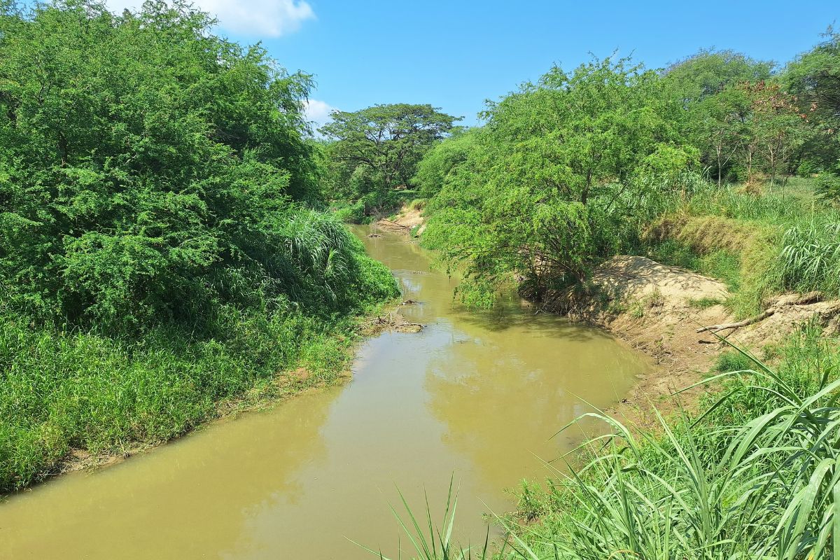 Hallan el cuerpo de hombre flotando en el río Portoviejo
