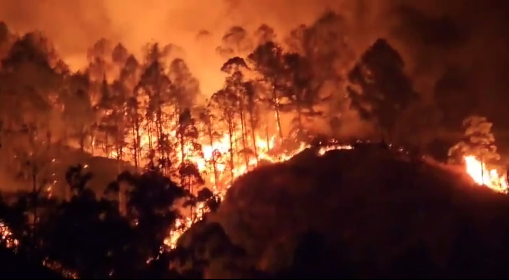 Incendio forestal arrasa con hectáreas de bosques en Quilanga, Loja