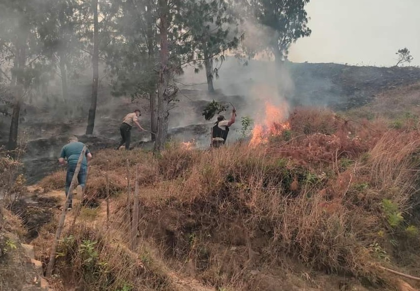 Un incendio forestal mantiene la tensión de las autoridades de la provincia de Loja y también las nacionales.