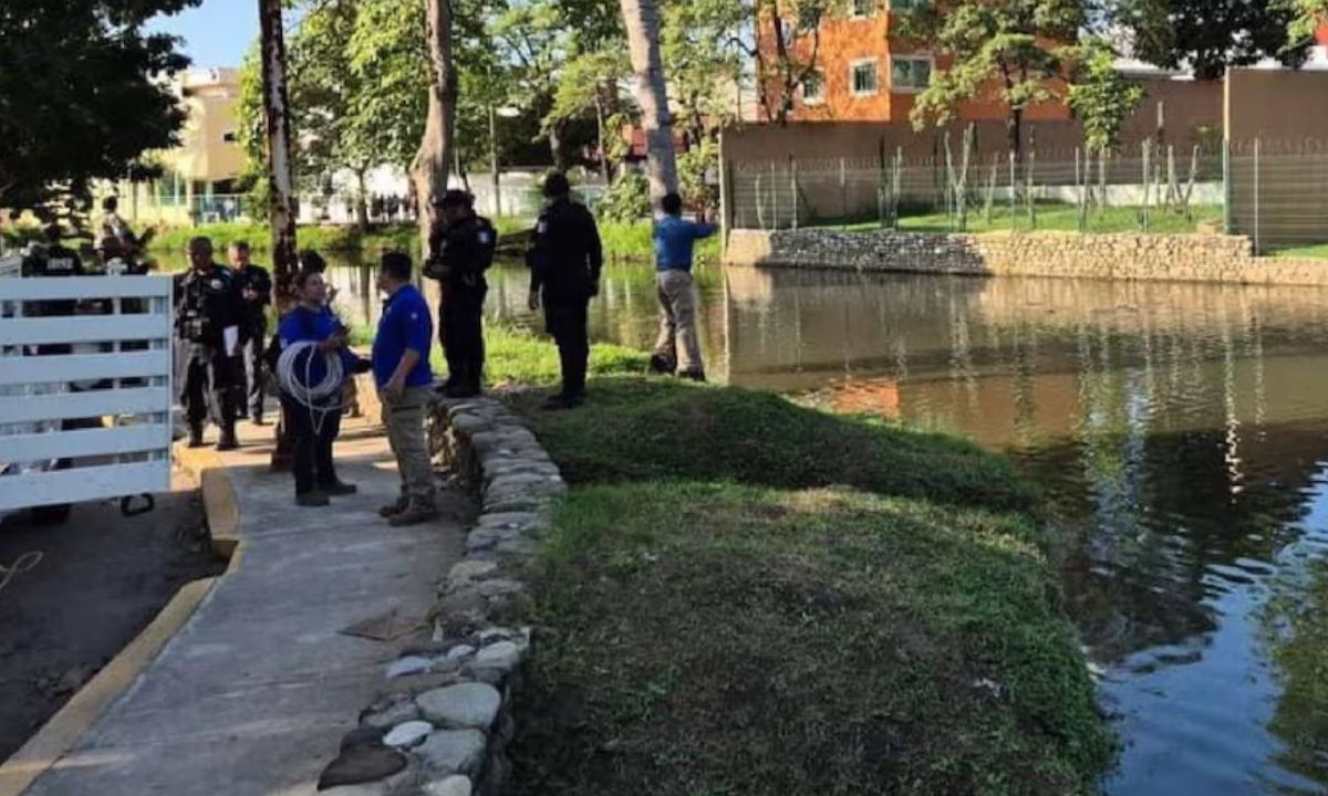 Cocodrilo devoró a un hombre dentro de un lago, todo quedó grabado