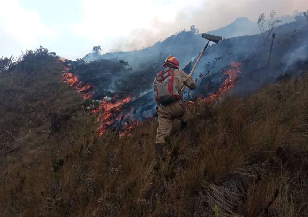 Graves incendios forestales se han registrado en Cuenca y Loja. Las autoridades presumen que estos han sido provocados.