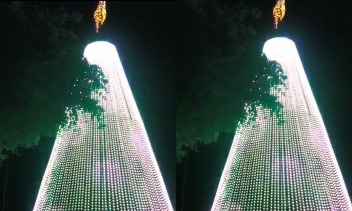 El árbol de Navidad de El Diario se encendió este lunes, 2 de diciembre