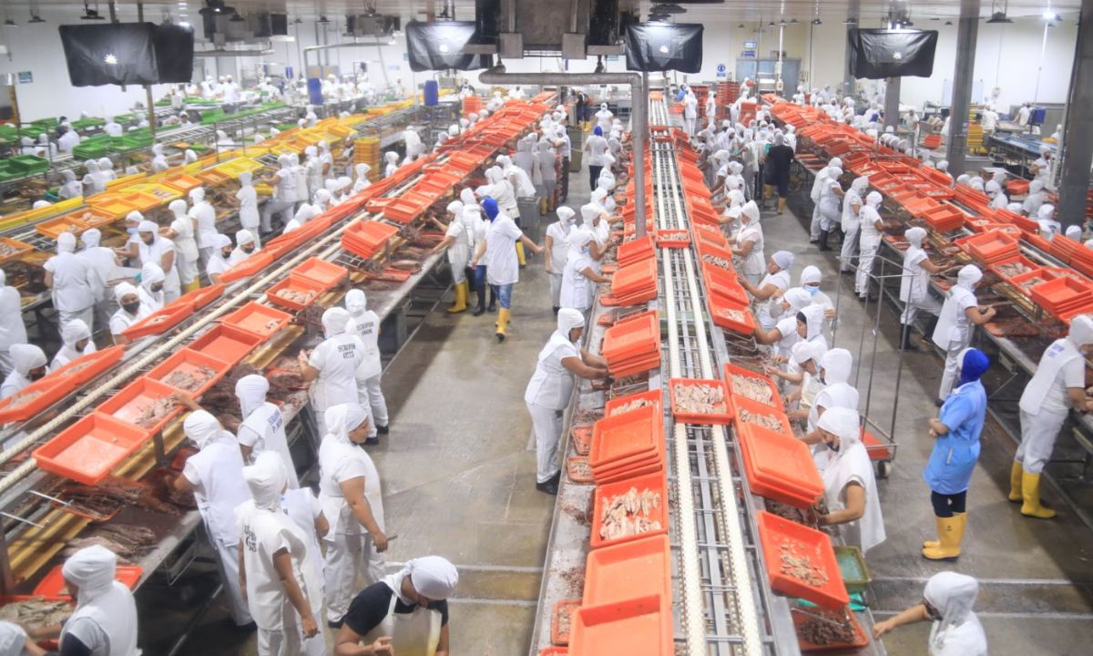 El salario básico unificado será de 470 dólares en el 2025.