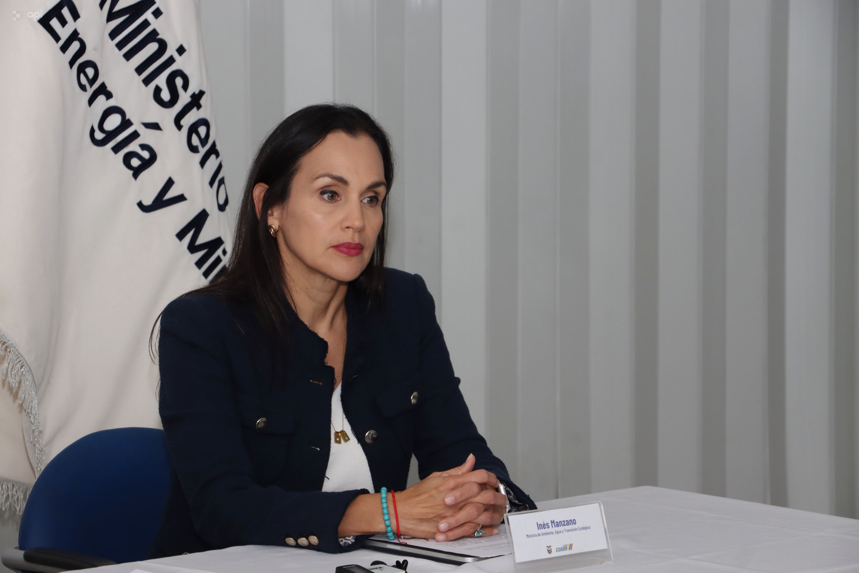 Inés Manzano afirma que el año terminará sin apagones