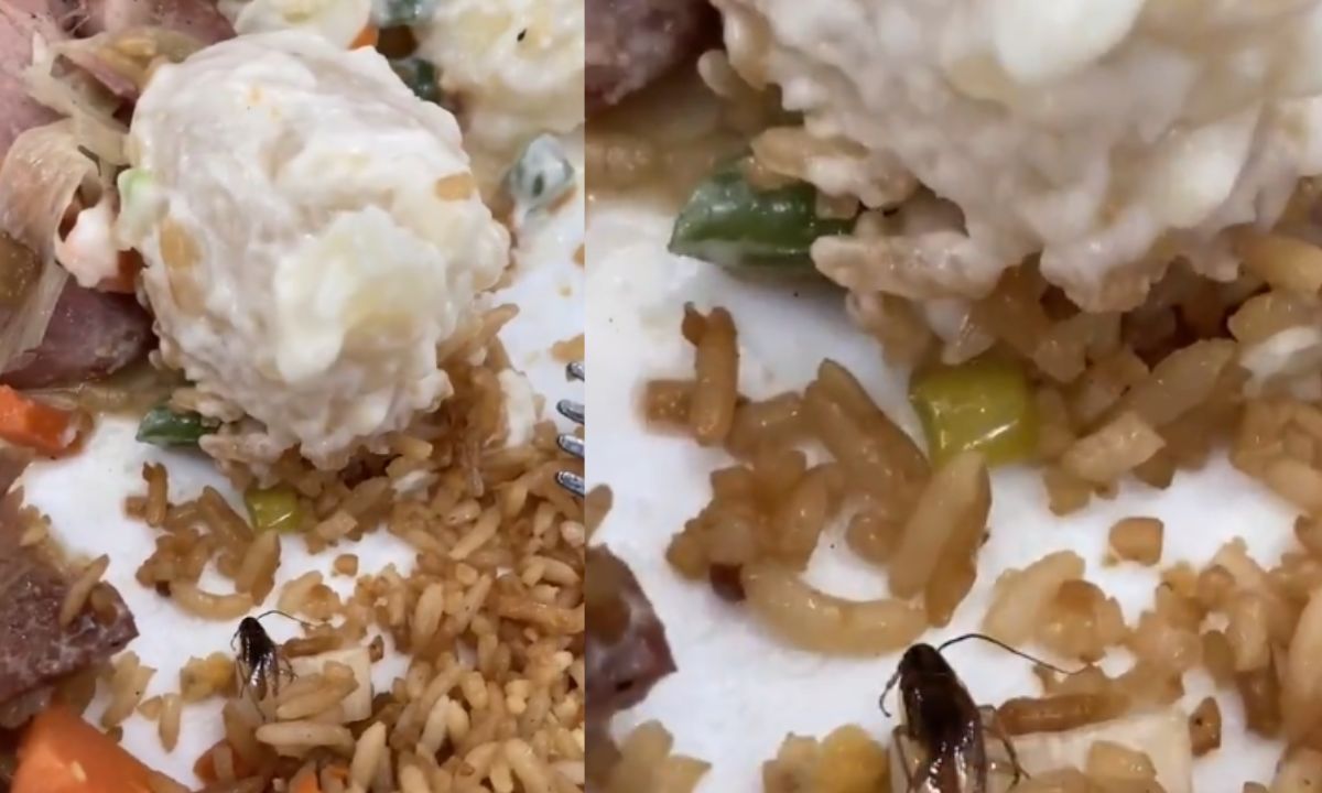 Le salió una cucaracha en un platillo que pidió en un centro comercial
