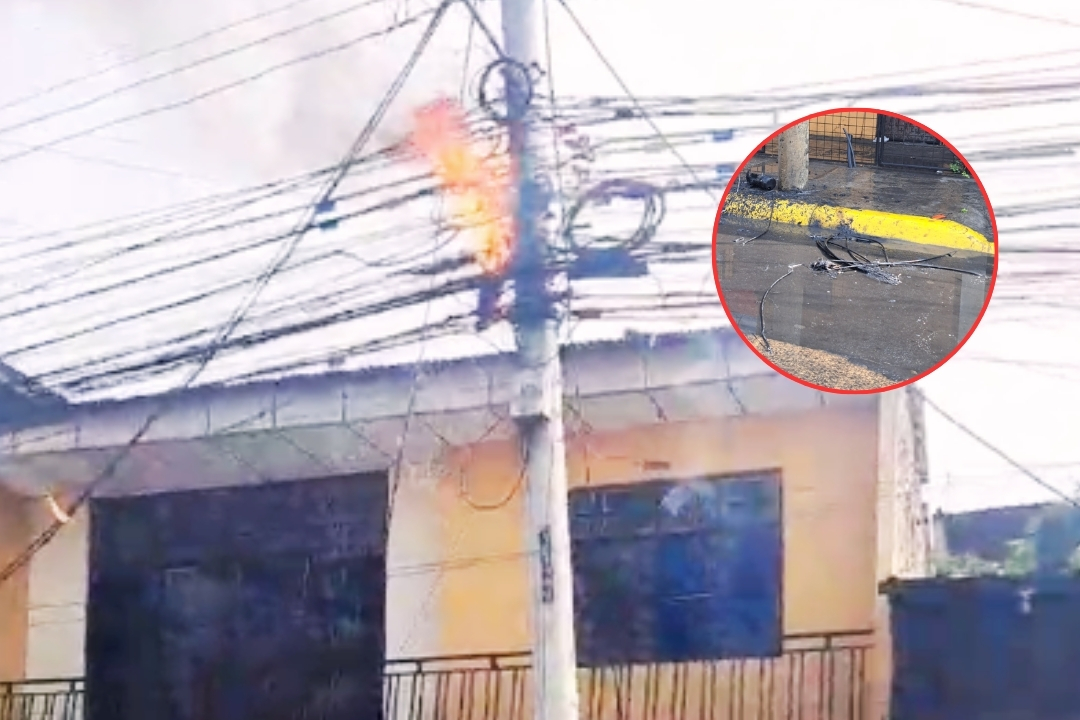 Paloma causó cortocircuito e incendio de cables en Portoviejo