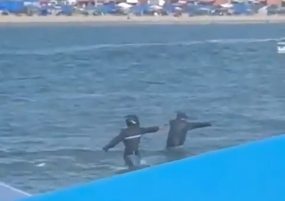 Con armas, dos sujetos se metieron al mar y asesinaron a un hombre