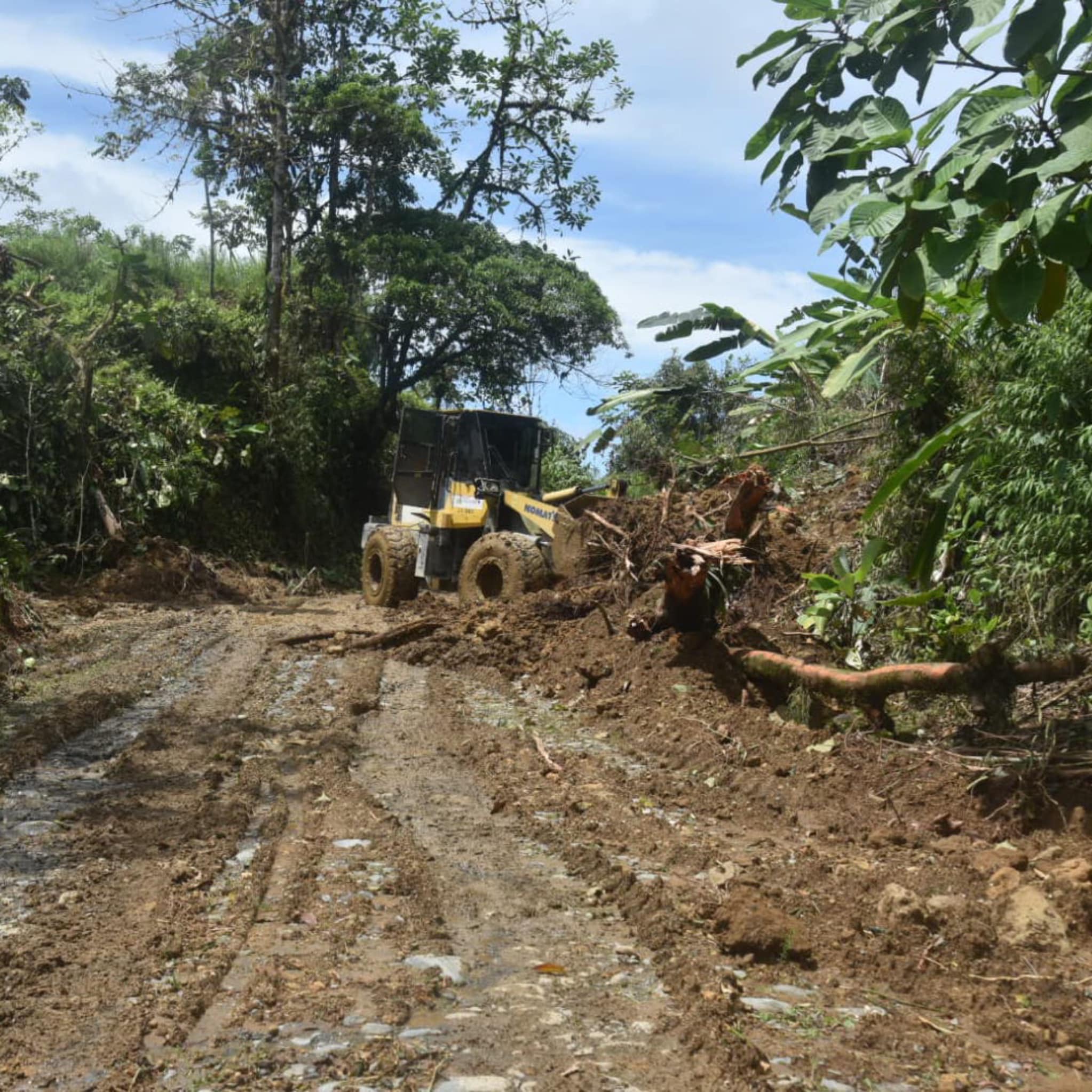 Emergencias. En Santo Domingo de los Tsáchilas hay más de 100 afectaciones por temporada invernal