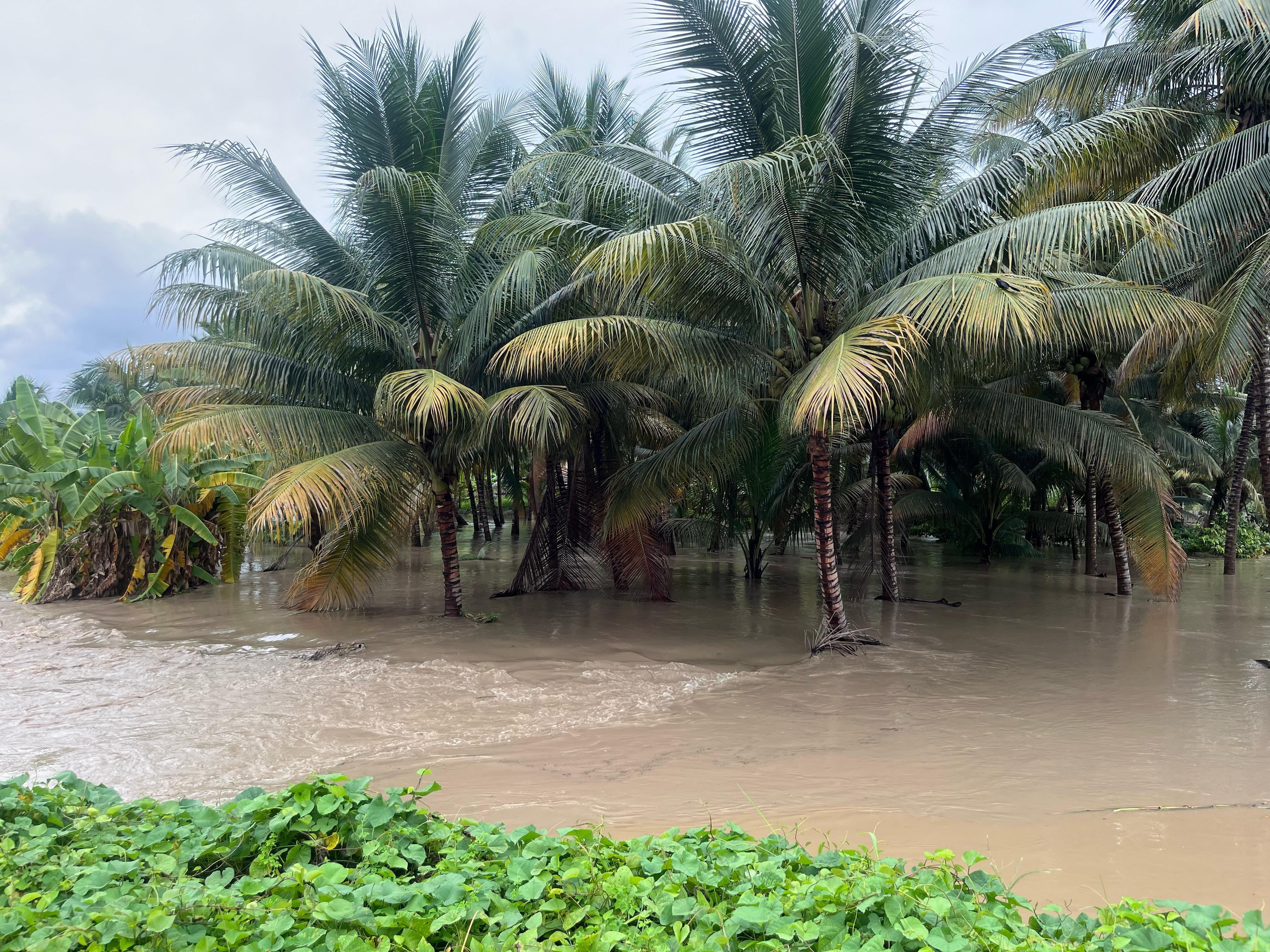 Fuertes lluvias pondrán en peligro los cultivos.