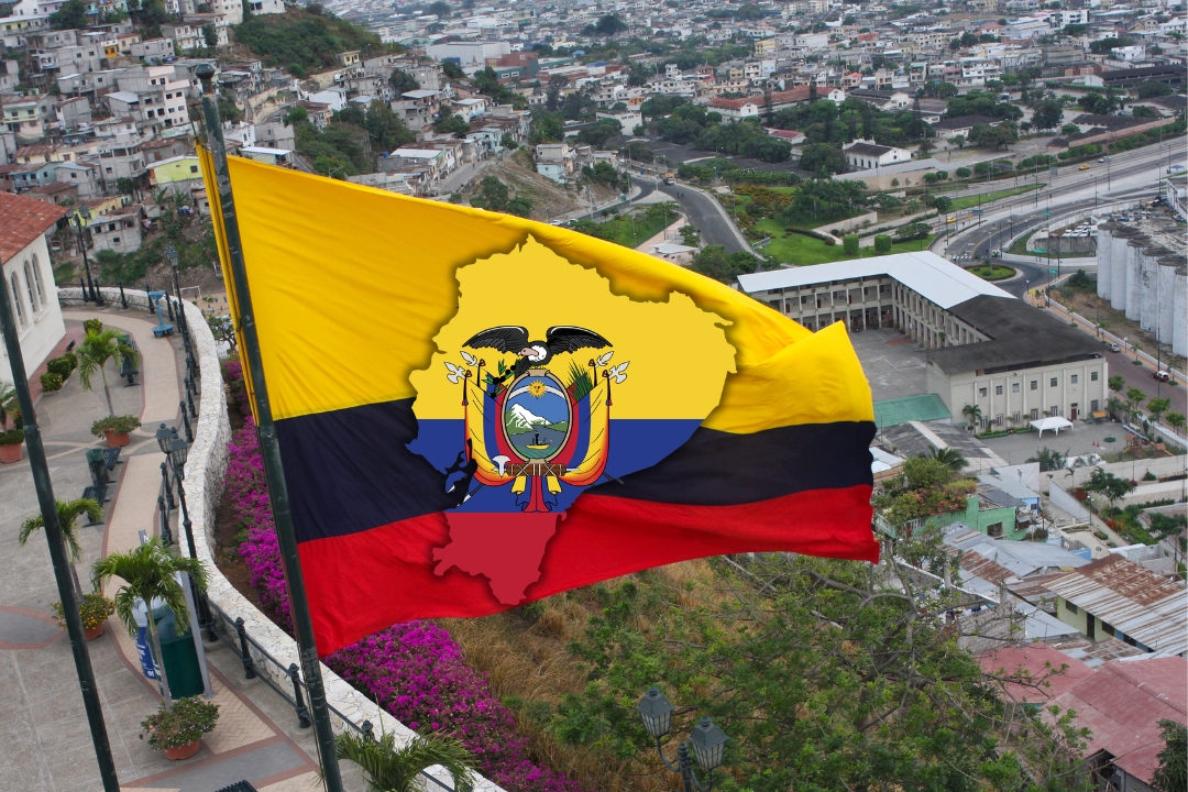 Proyecto Gobierno ecuador intento privar libertad ecuatoriano