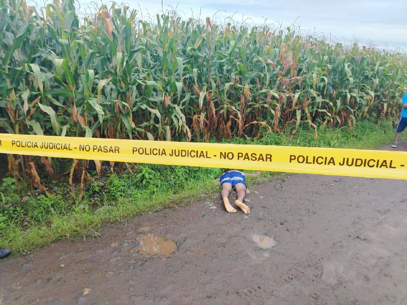 Ventanas. Encapuchados armados irrumpieron en vivienda y asesinan a joven