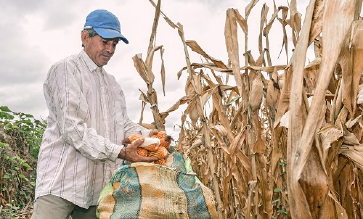 1A-ALZA-EN-INSUMOS-AGRICOLAS-5