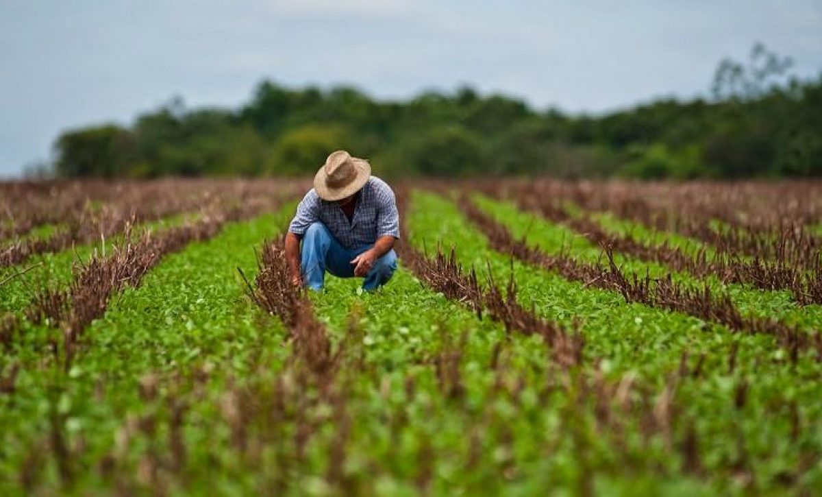 20210318072512_la-agricultura-perdia-280-000-millo