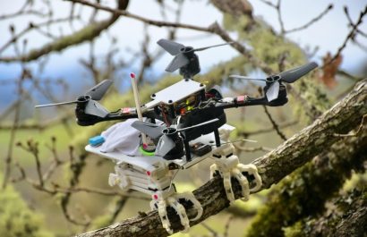Un robot con patas inspiradas en el halcón para posarse como un pájaro