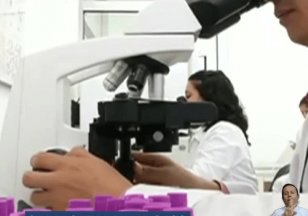 Brote de fiebre amarilla podría expandirse