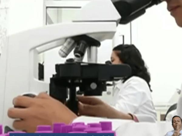 Brote de fiebre amarilla podría expandirse