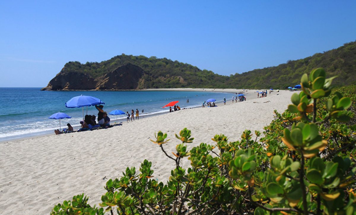 FRAILES-2