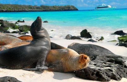 animales-islas-galapagos