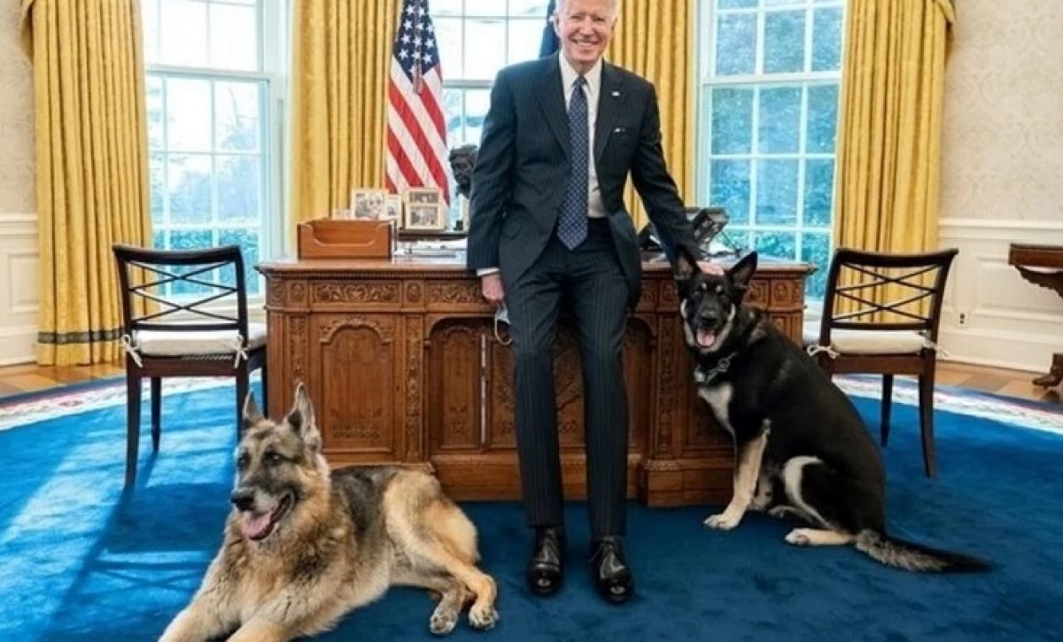 biden