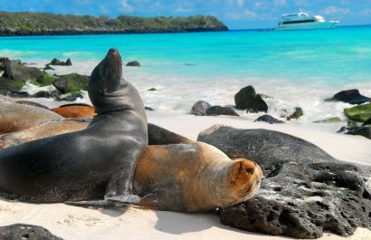 galapagos