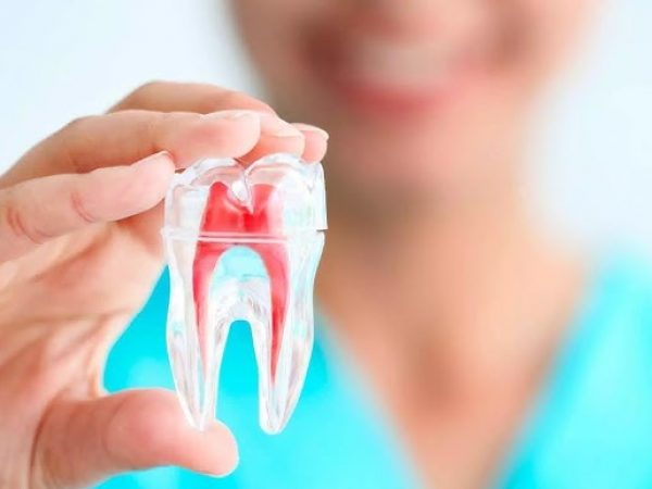 Pulpa Dental, una nueva fuente de células madre para tratar enfermedades neuronales