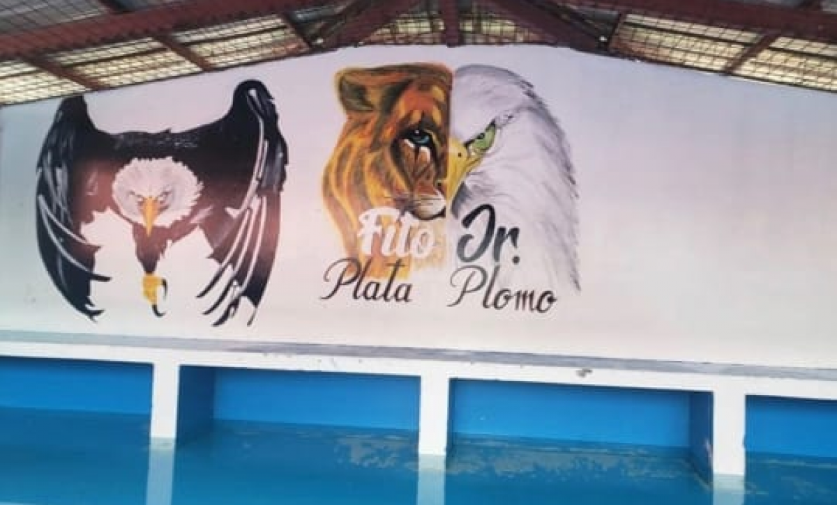 pisci
