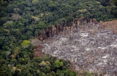 selva-Colombia-EFEverde-482x310-1
