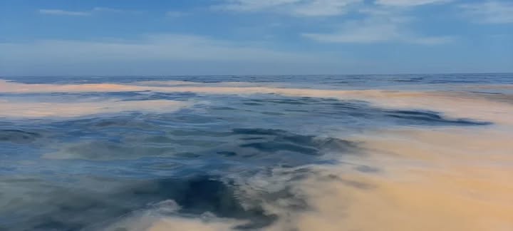 Inocar informa de floración algal en aguas del litoral ecuatoriano