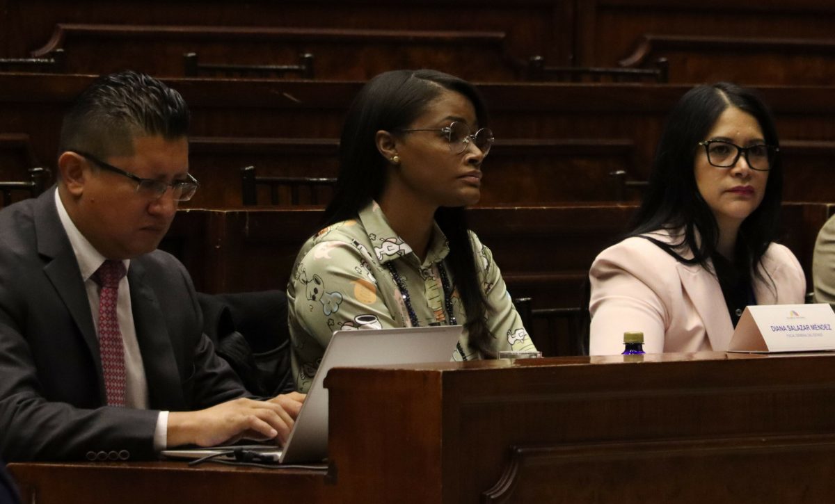 FISCAL-DIANA-SALAZAR-COMISION-FISCALIZACION