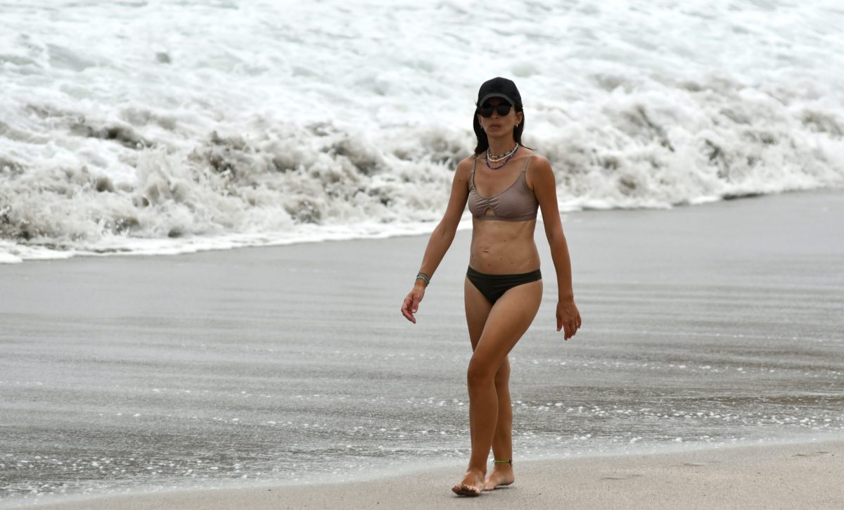 PTO LOPEZ-BALLENAS-FESTIVAL