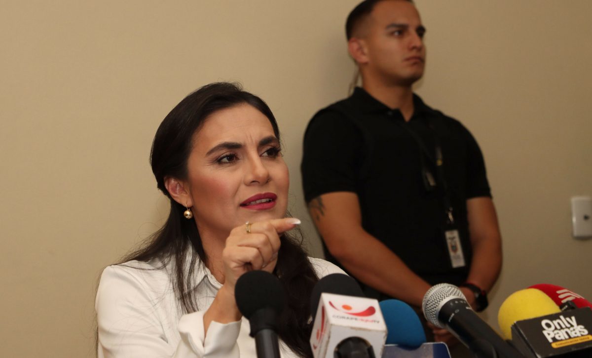 VICEPRESIDENTA VERÓNICA ABAD