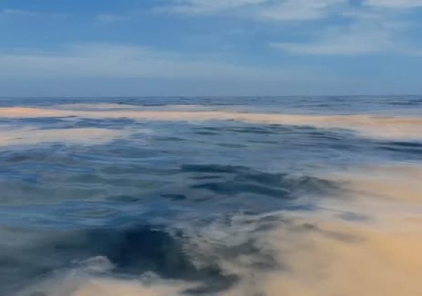 Inocar informa de floración algal en aguas del litoral ecuatoriano