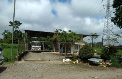 6-principal