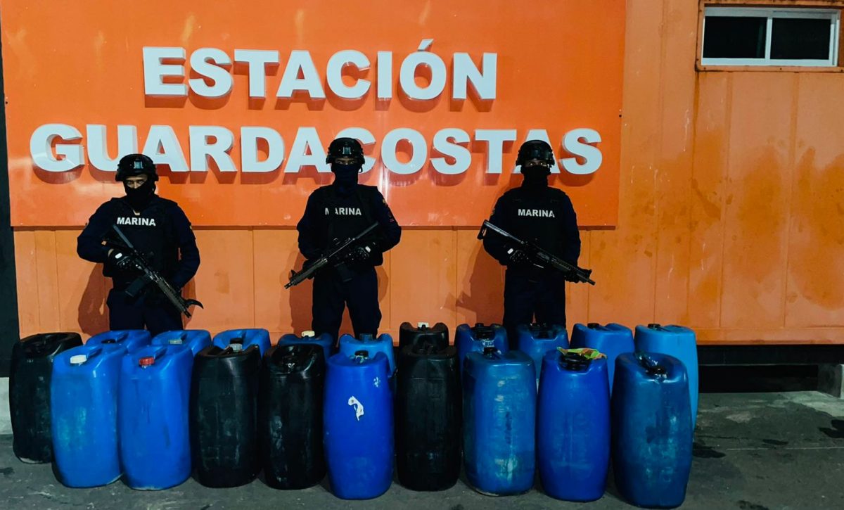 6-prncipal