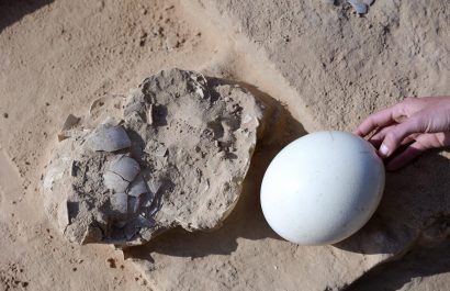 Hallan huevos de avestruz de hace más de 4.000 años en el desierto de Israel