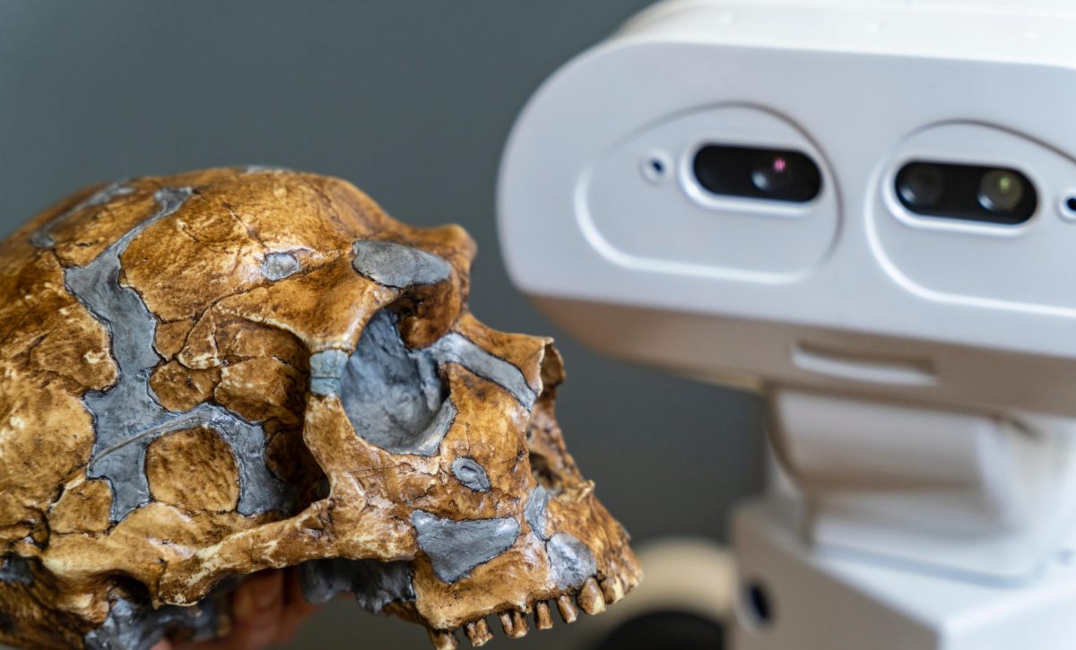 ¿Robots capaces de inventar herramientas? Arqueología e IA van a probarlo