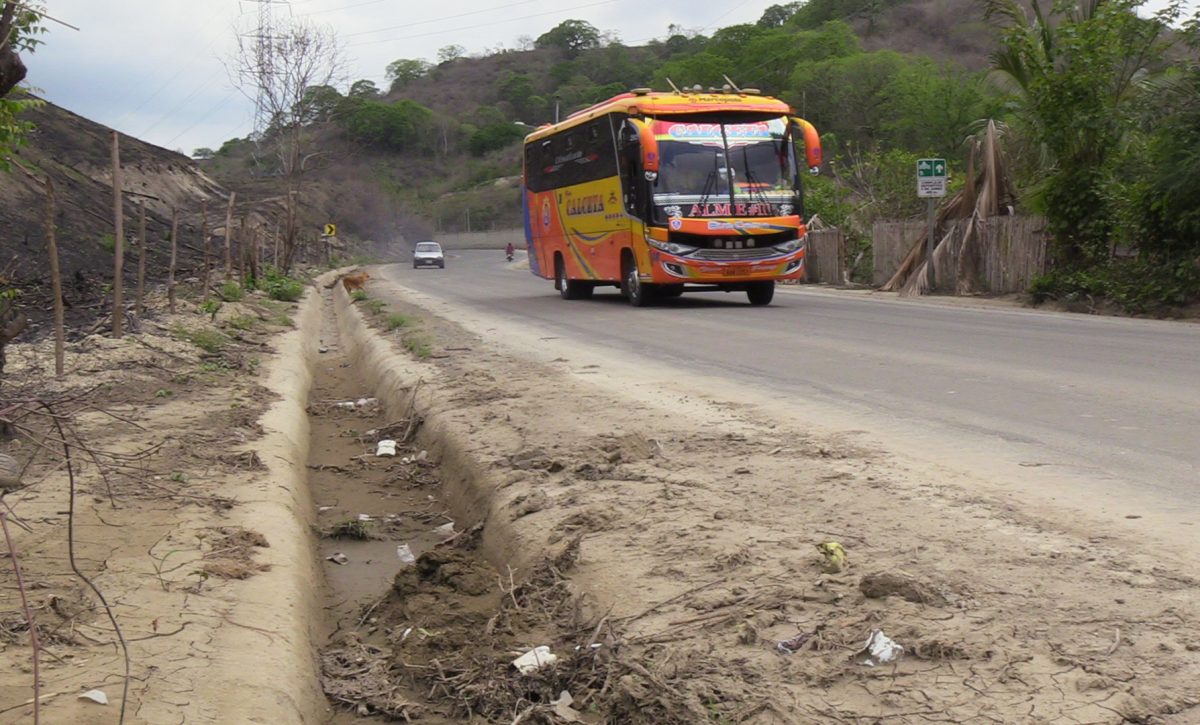 6a-yuli-zapallo
