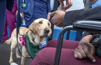 Una perra da afecto a pacientes en rehabilitación de un hospital de Florida