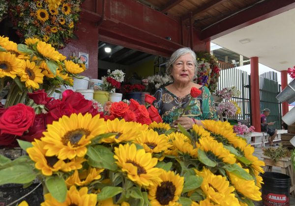 Aumenta la venta de flores por el día de la Madre